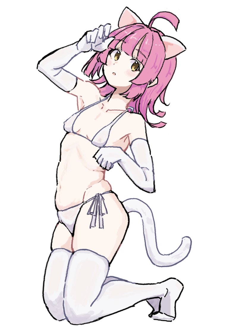 eハム🐹コミティア156@U-20b tweet media