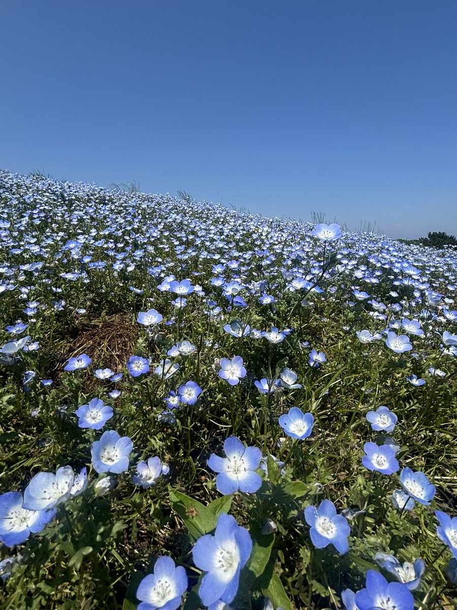 takahi_roll's tweet photo. https://t.co/LjeeMAQ6AP