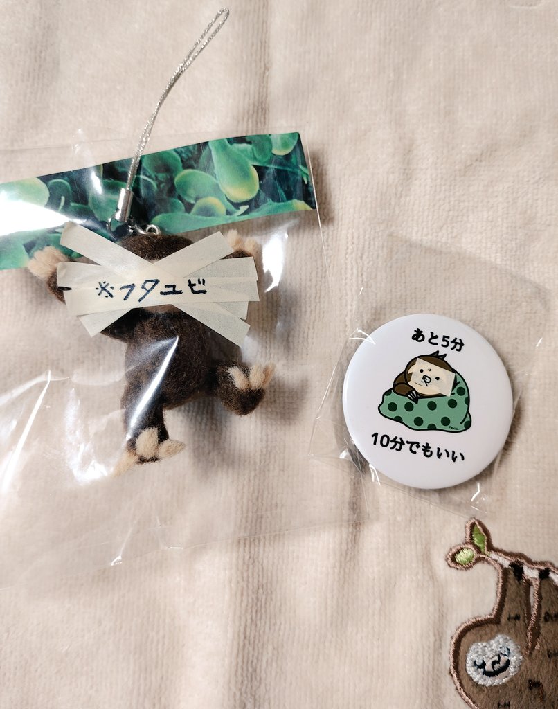 JoQ6dvhGB30n2Ad's tweet photo. 本日は、2026フタユビナマケモノ過激派フェスに行って来ました！
今日のお供はギリセーフ？
@RollSloth
@kagekiha_fes
#RollSloth
#フタユビ過激派
#下北沢 https://t.co/WQYaChzgI5