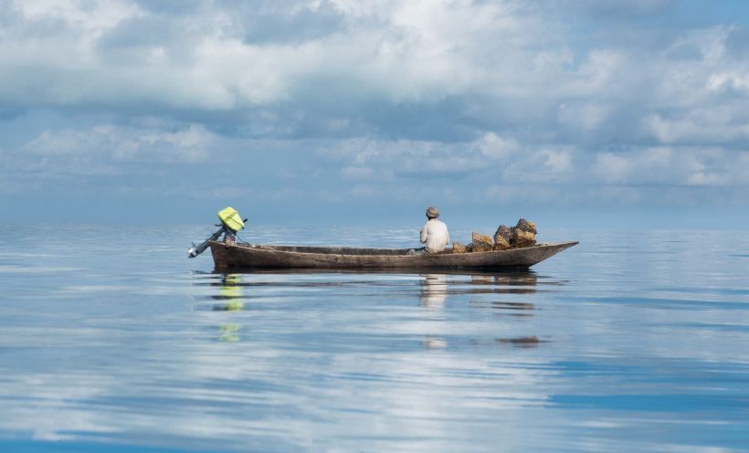 reef_research tweet picture