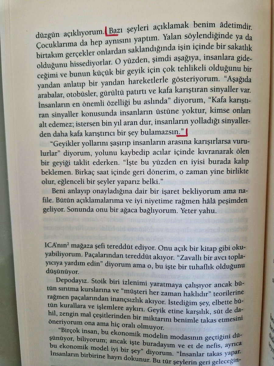 evrim yıldırım🦚 tweet media