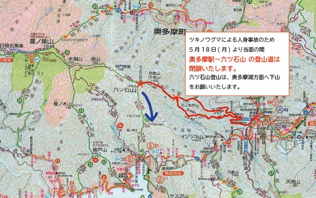 奥多摩ビジターセンター【公式】 tweet media