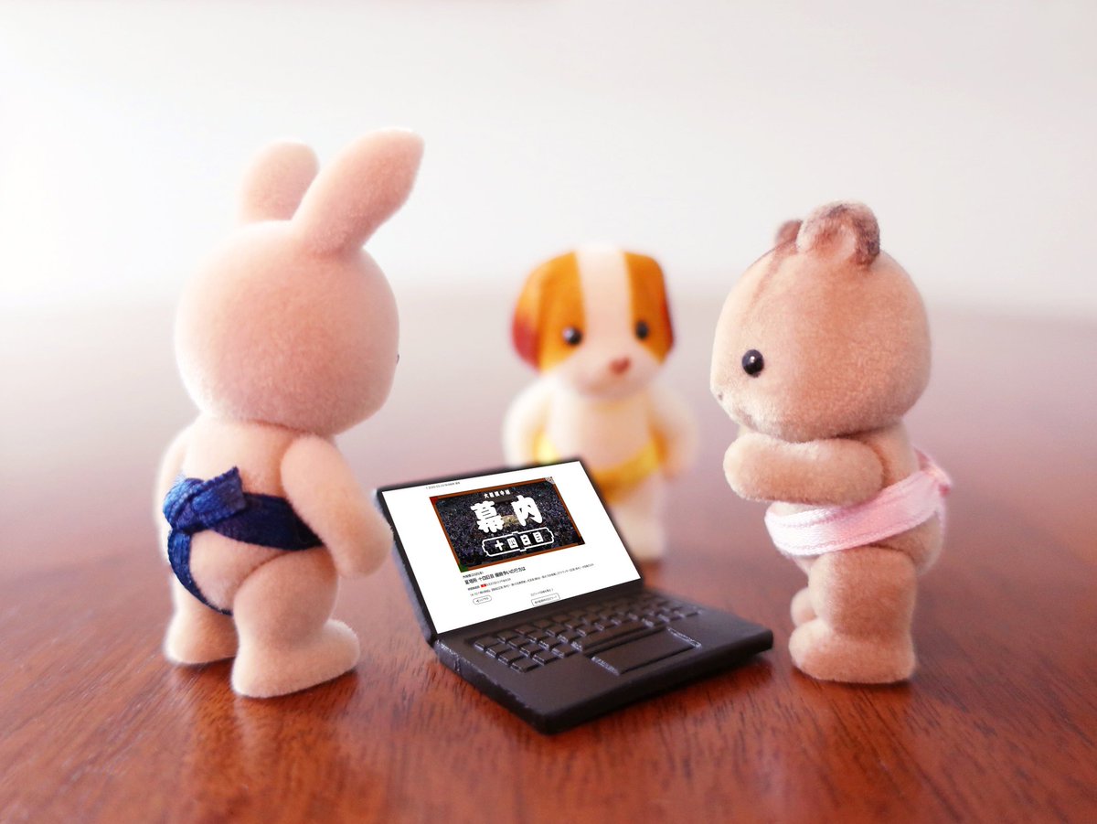 シルバニアファミリーのくるみリスの赤ちゃん tweet media