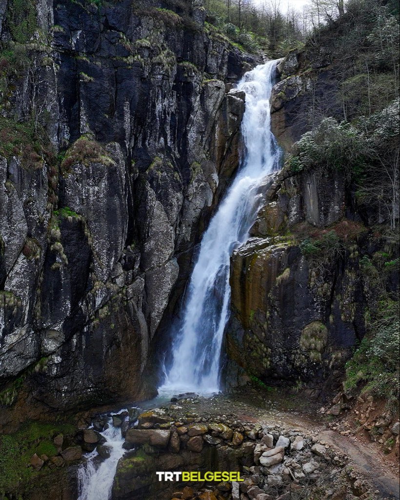 TRTBelgesel's tweet photo. 🏞️ Trabzon’un Akçaabat sınırları içerisinde yer alan ve yaklaşık 100 metreden dökülen Uçarsu Şelalesi; doğal güzelliği, manzarası ve doğasıyla dikkat çekiyor. Akpınar Mahallesi’ne bağlı Simba Yaylası’nın yanı sıra kar sularından beslenen şelaleden süzülen su, 27 kilometre uzaklıktaki şehrin önemli turizm noktalarından Sera Gölü’ne ulaşıyor.
📸: AA