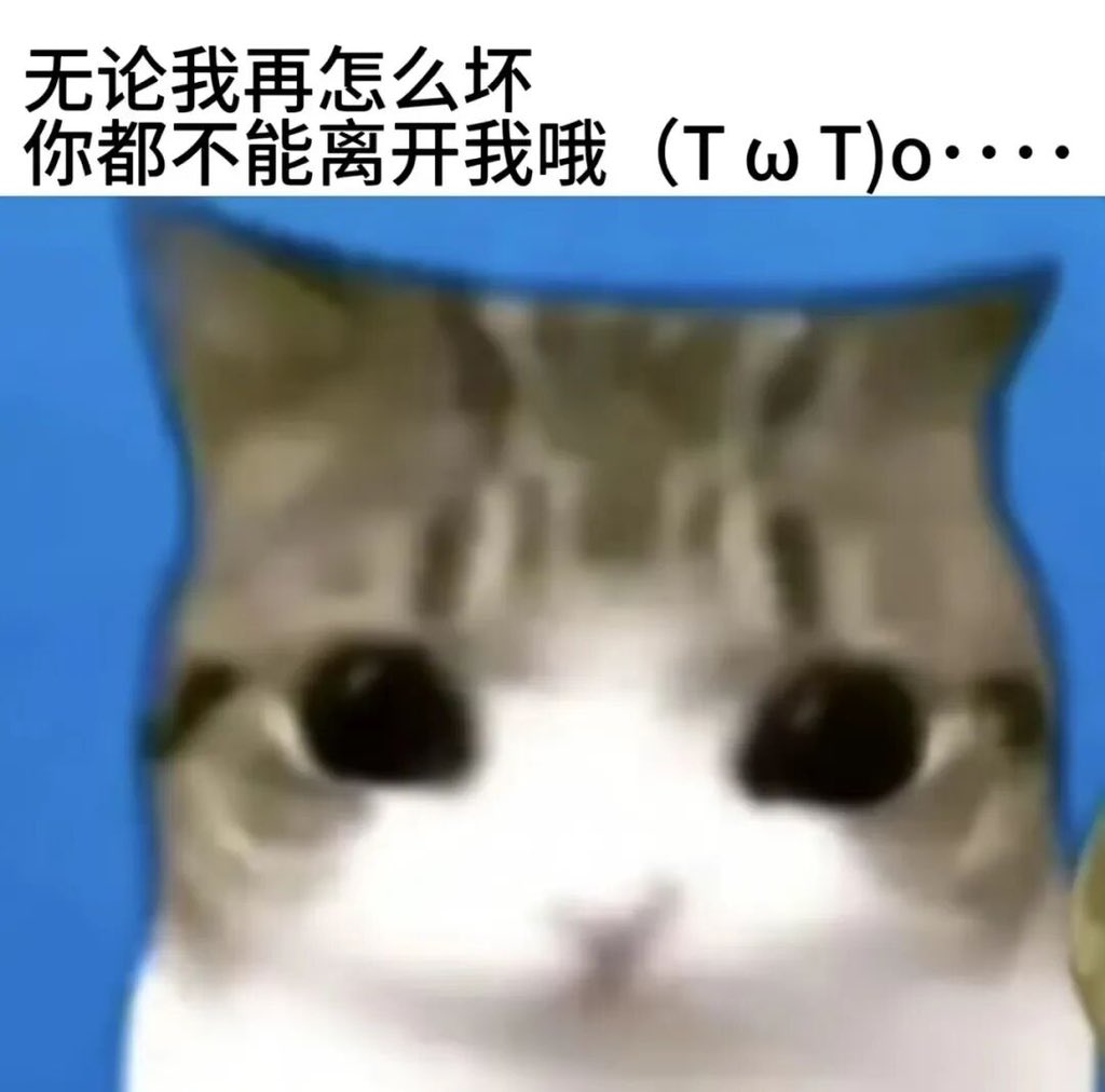 白咪饭 tweet media