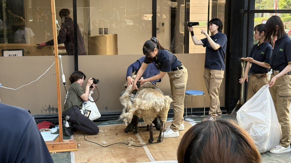 【公式】TCA東京ECO動物海洋専門学校 tweet media