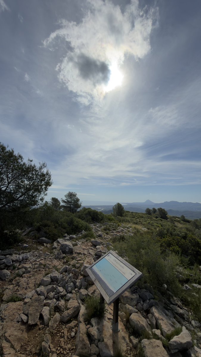 superpegoli's tweet photo. La superioritat de la Diània, enfront qualsevol altra zona del País Valencià es TANTTTT gran, que asusta https://t.co/tcj6QEdzjR