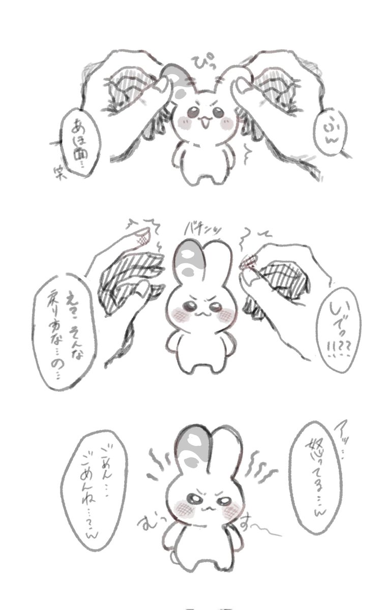 しゃちあざらし tweet media
