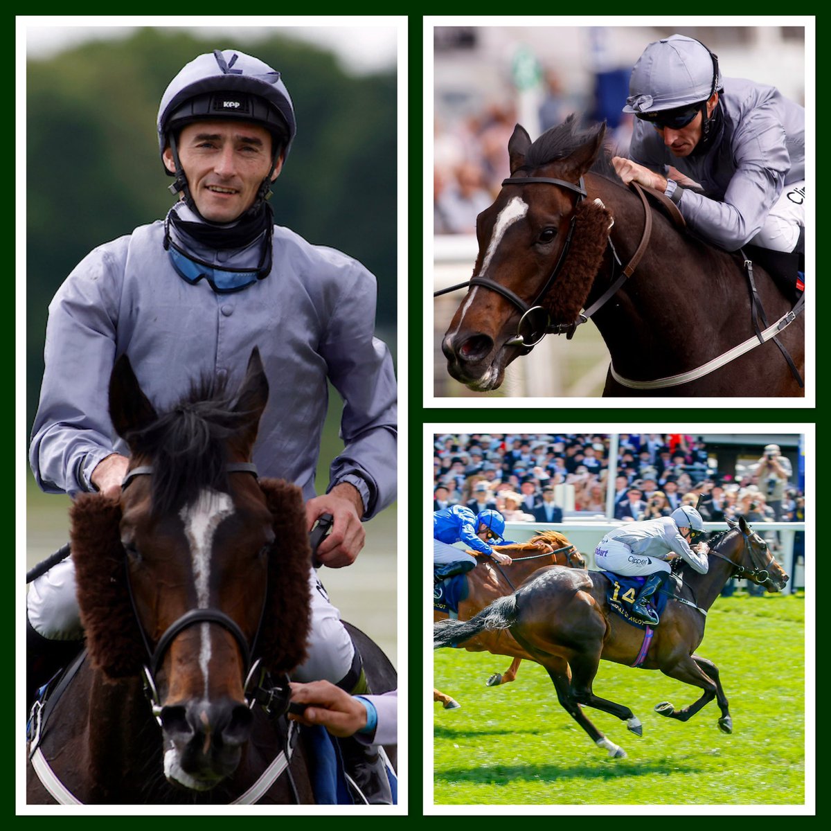 Weatherbys Limited tweet media