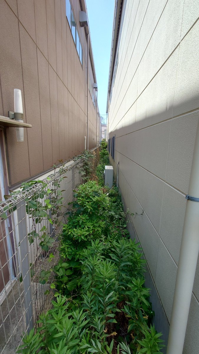 し★ま tweet media