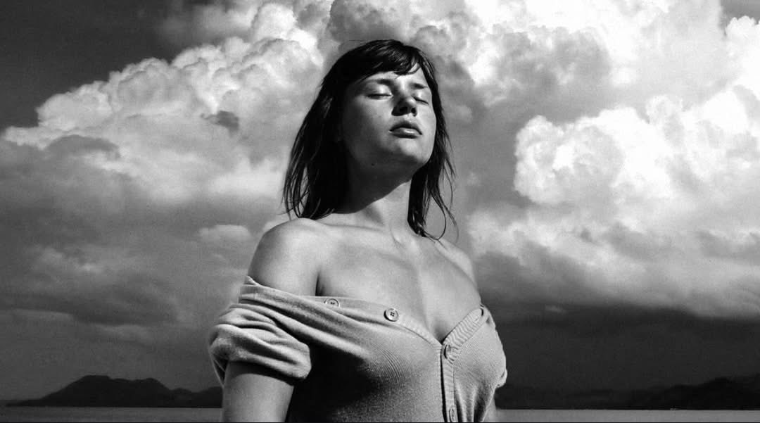 Wild at Heart tweet media