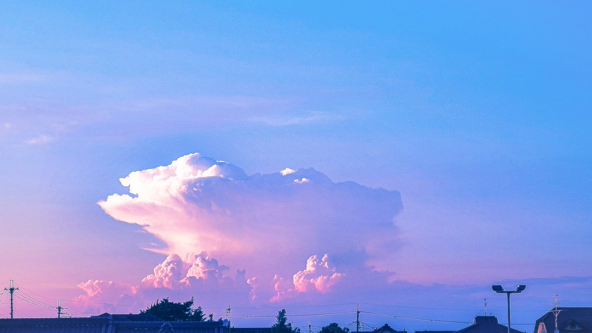 空に青。 tweet media