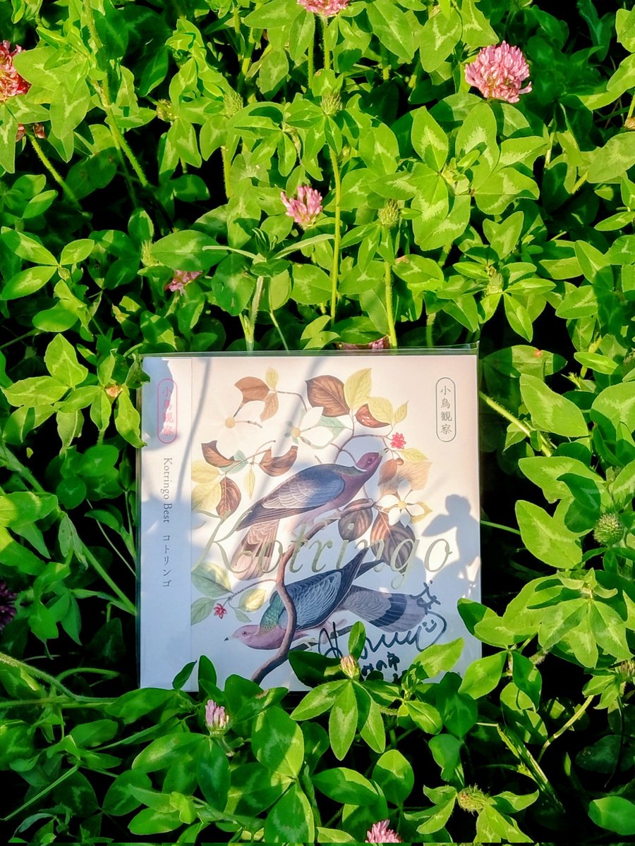 erlelove's tweet photo. 東京蚤の市でコトリンゴさんのライブ！🐦️🍎
素晴らしくて涙が出た
物販でサイン頂いた時にコトリンゴさんに「友達にそっくりでビックリした」と言われて私もビックリ😂 https://t.co/17rZ72qKXj