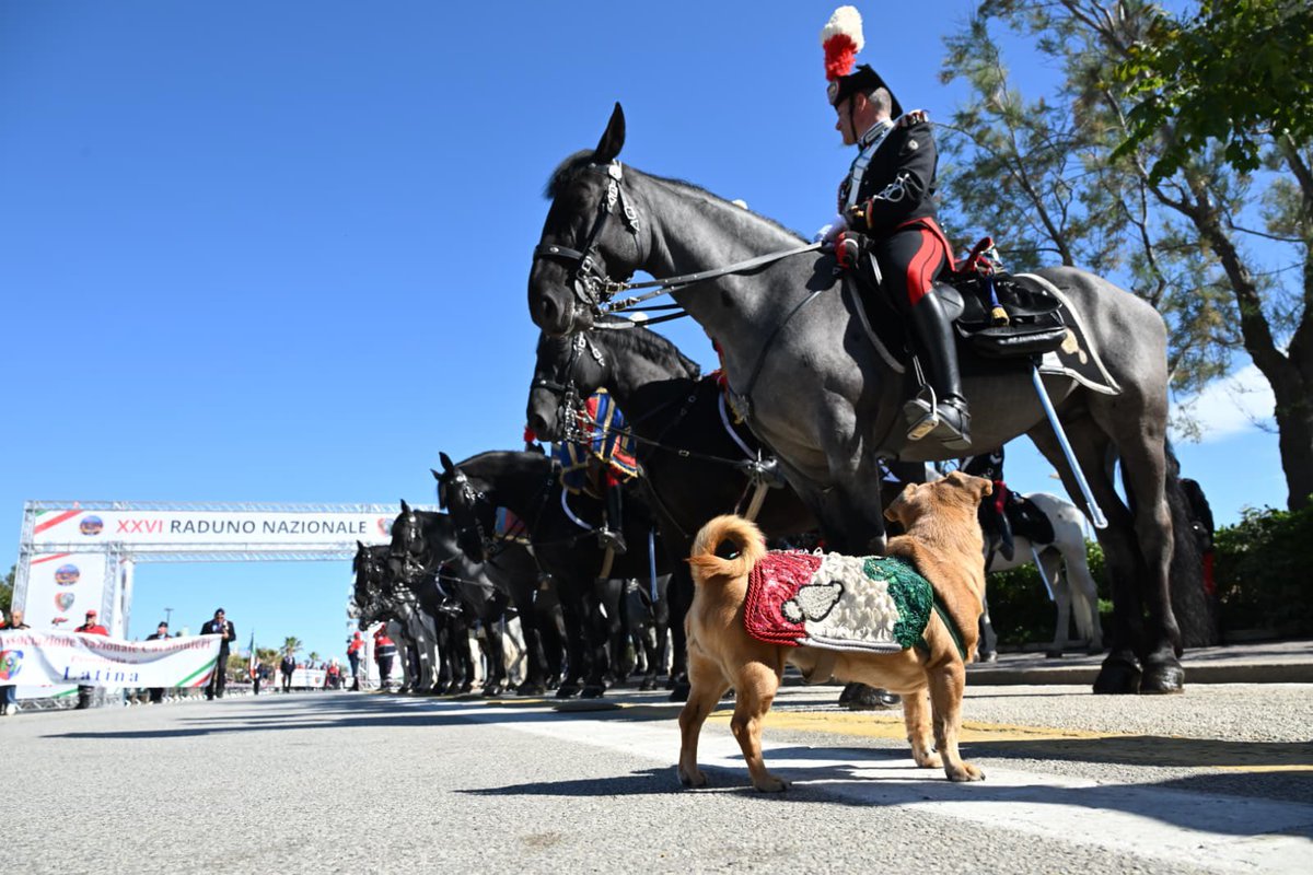 Arma dei Carabinieri tweet media