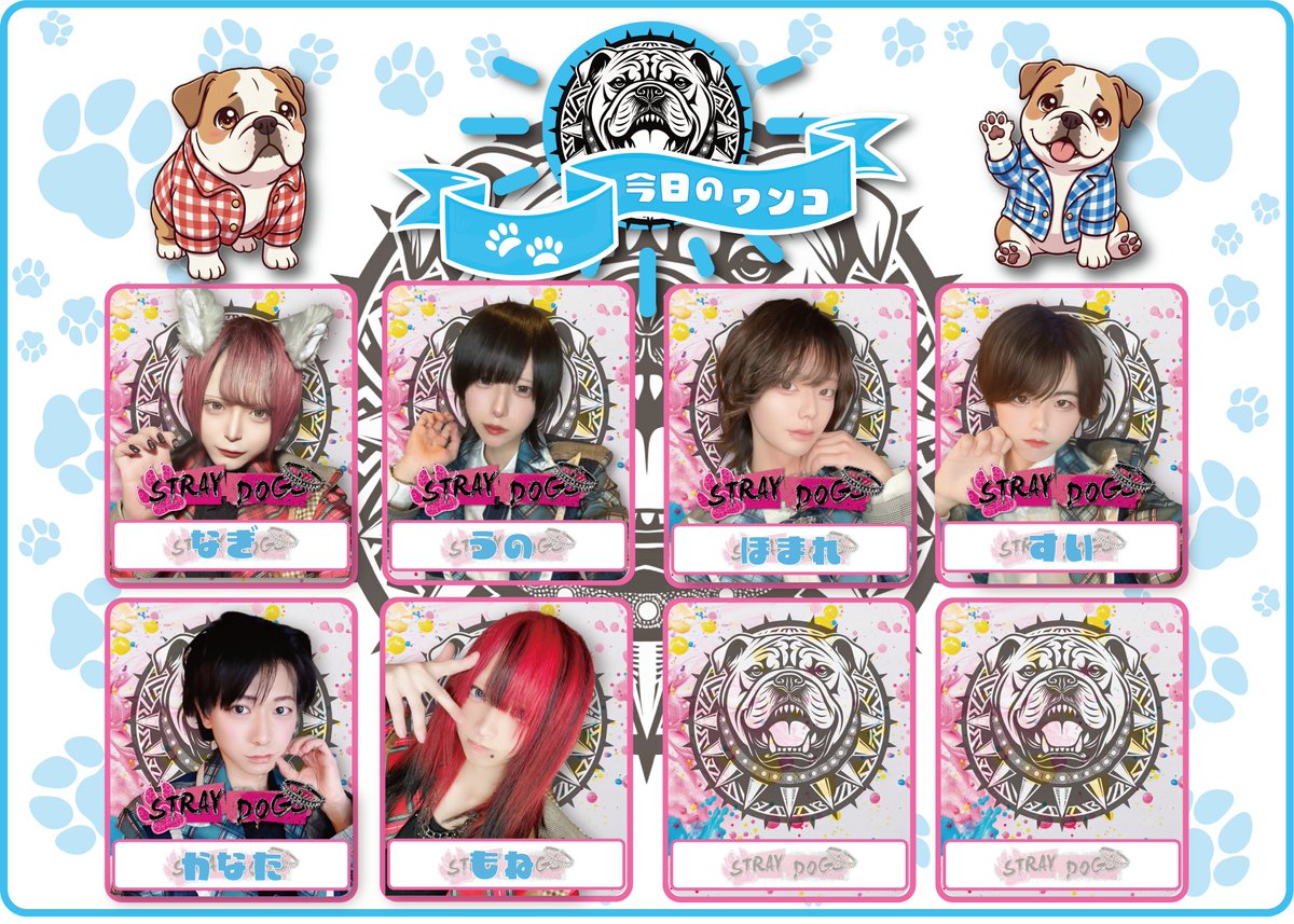 STRAY DOG'S-池袋メンズコンカフェ- tweet media