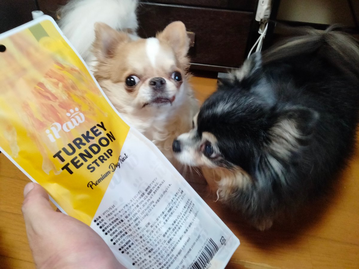 えちごやとちわわ tweet media