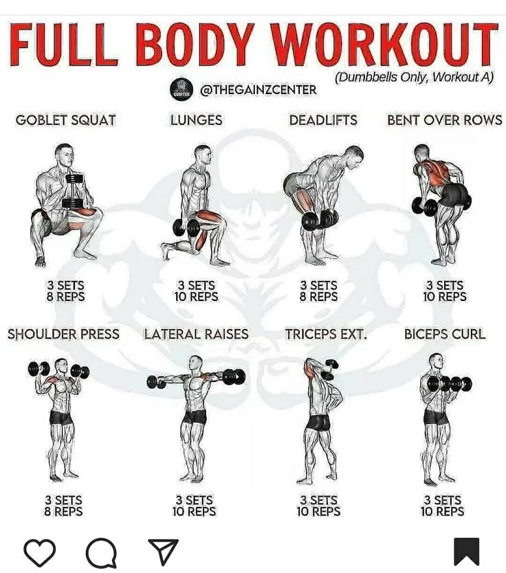 Daily Physique tweet media