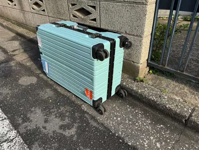 NyanChuu🔮🇯🇵🍭 tweet media
