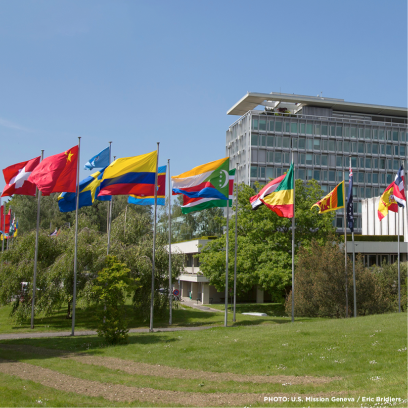 United Nations Foundation tweet media
