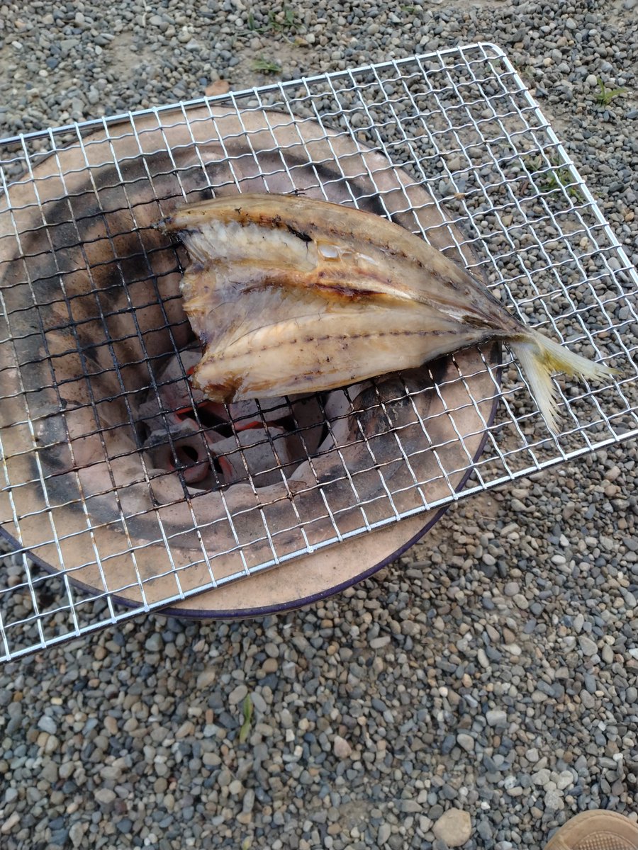 maro10n's tweet photo. 鯵の干物
脂のってます https://t.co/BPGc957Czd