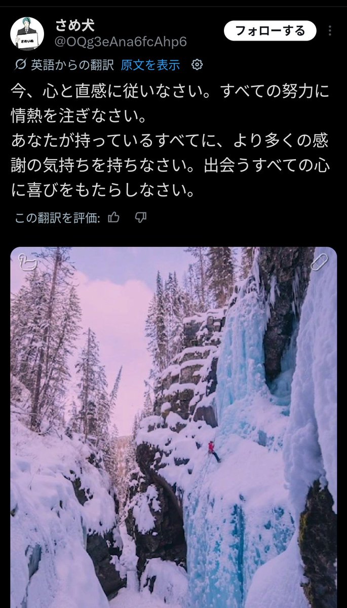 さめ犬/こちらです tweet media