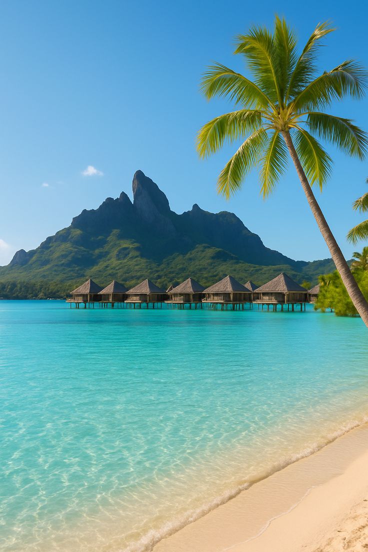TravelVibes tweet media