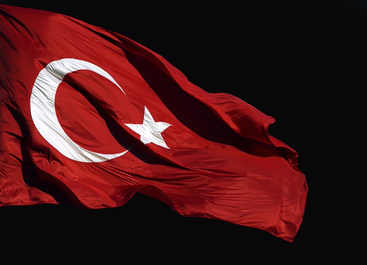 inan güney tweet media