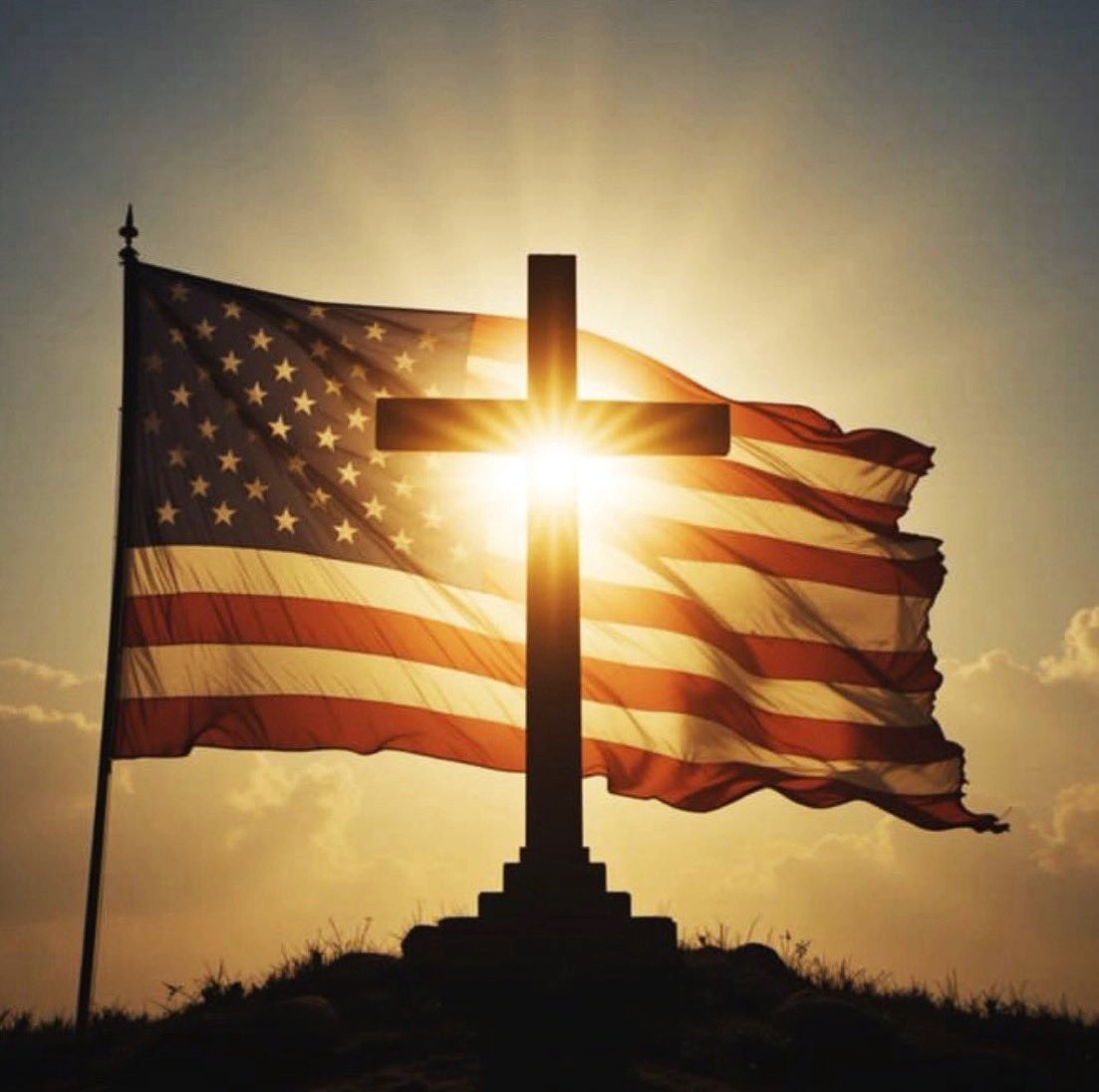 Patriot_MAGA_47's tweet photo. @EricLDaugh 🇺🇸 AMERICA IS A CHRISTIAN NATION! ✝️ https://t.co/2httJuaXs4