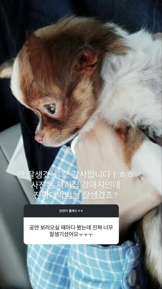 굄 tweet media