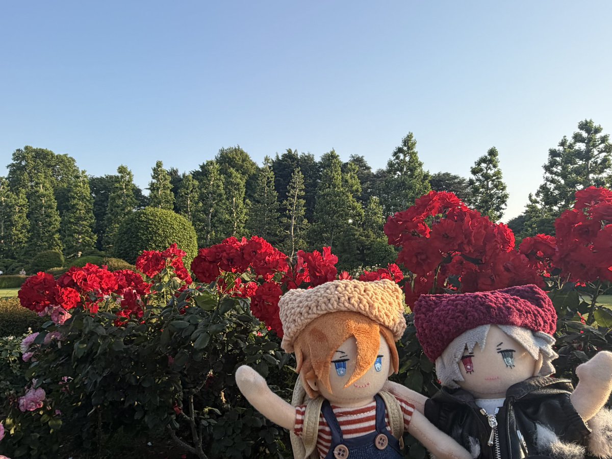 しゅが tweet media