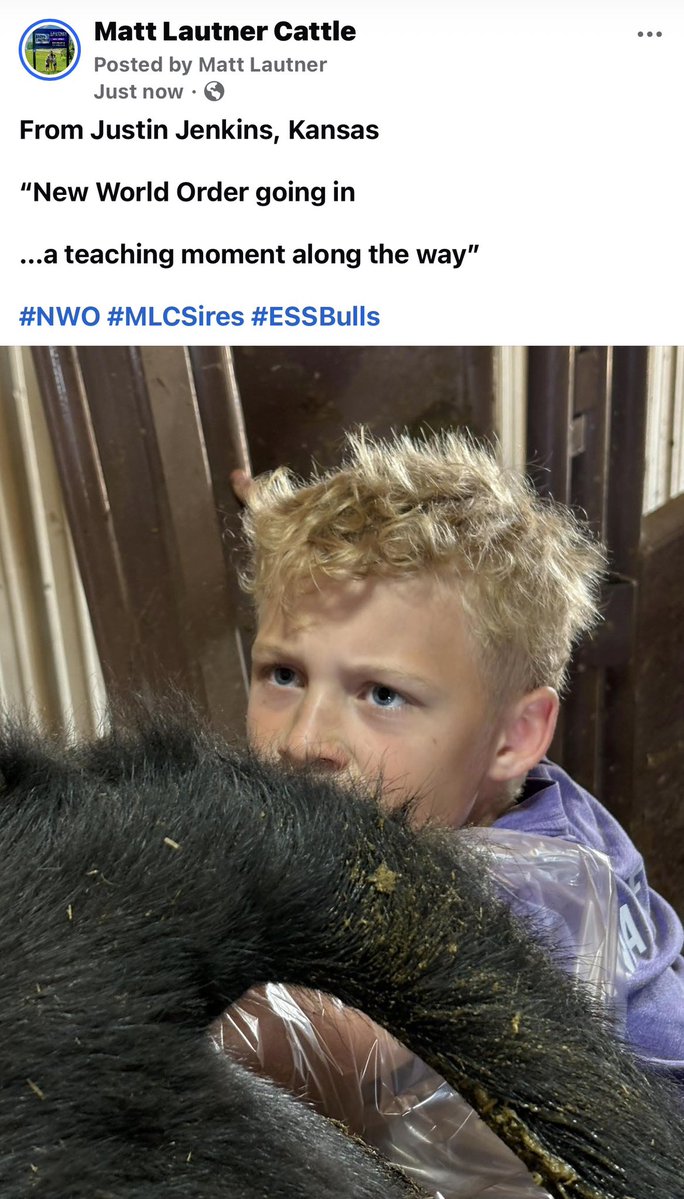 Matt Lautner tweet media