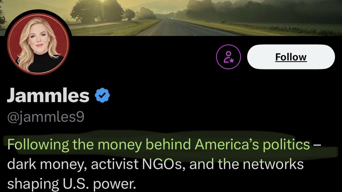 aripuente's tweet photo. @jammles9 @RealCandaceO Follow the money on @TPUSA. Dark money, Black Widow. https://t.co/eExinsjMjx