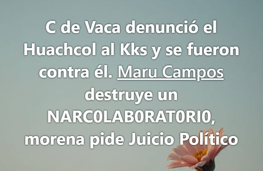 Nicolás Hugo Flores tweet media