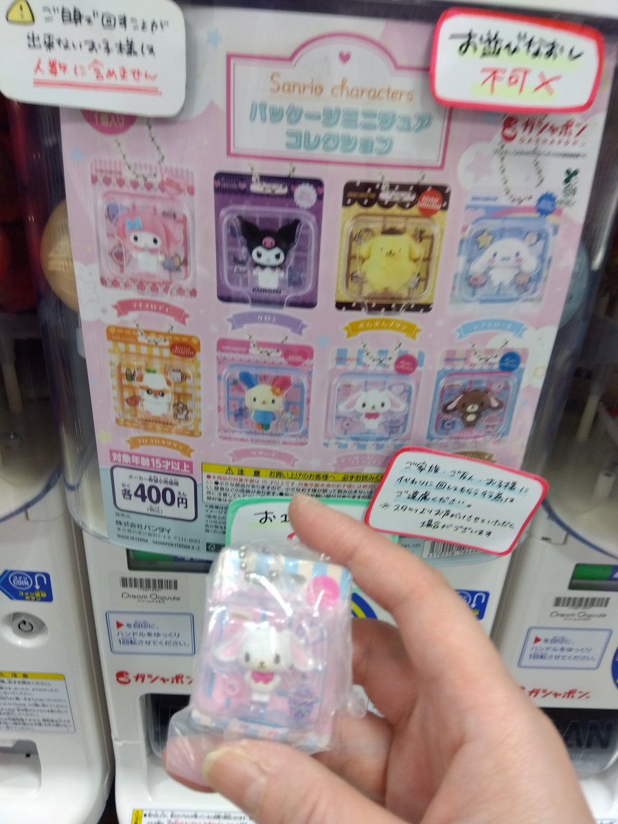 田崎麻衣 tweet media