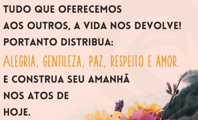 Manuel Carlos🇧🇷 tweet media