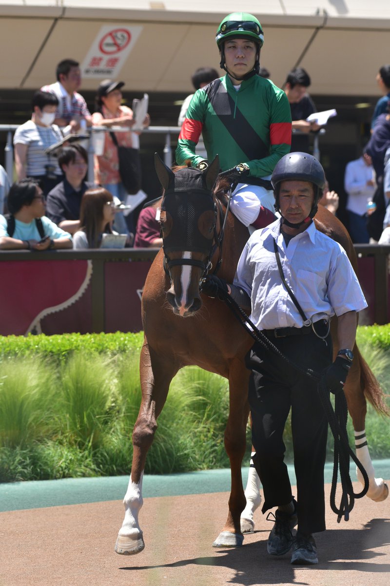 けんた🏇@5.17ヴィクトリアマイル tweet media