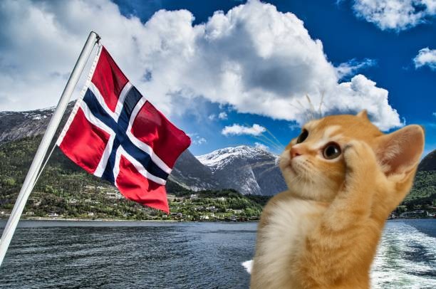 TwinCat tweet media