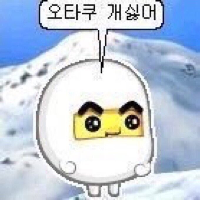 넴 tweet media