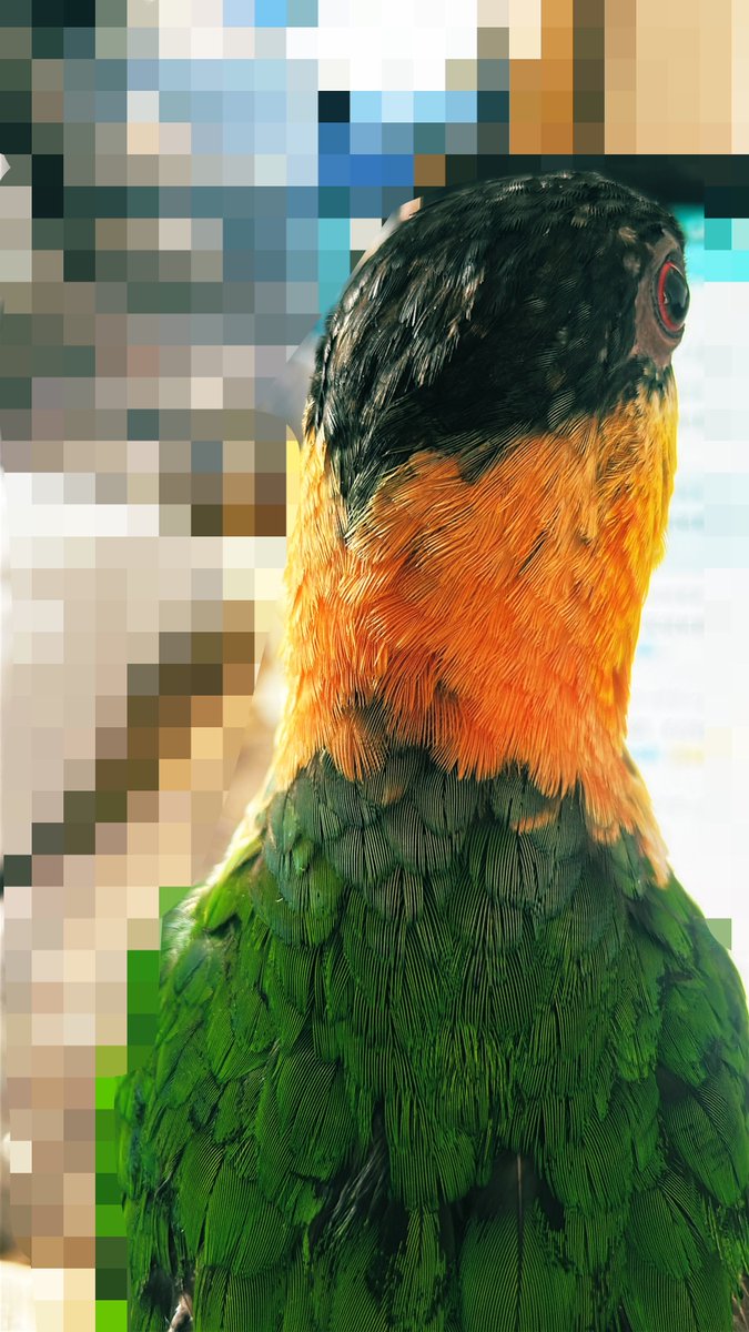 ㋔㋠゙㋸ tweet media