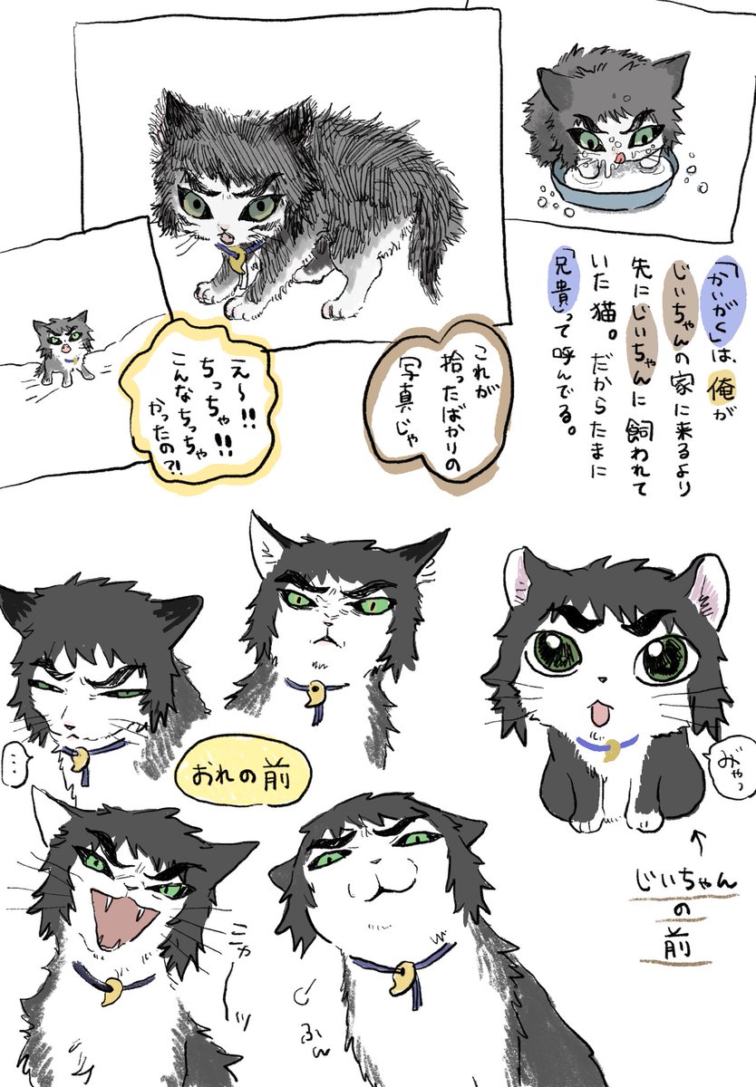 【イラストカード2枚付き】現夢 genmu TUMENECO(冷猫) RT @lovehamu222: 🍑猫