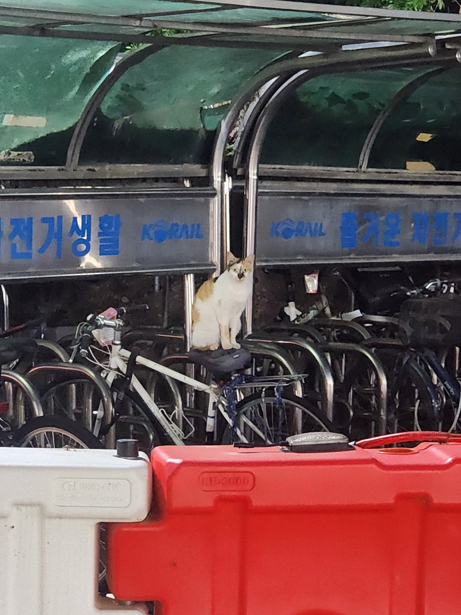 콧소리 tweet media