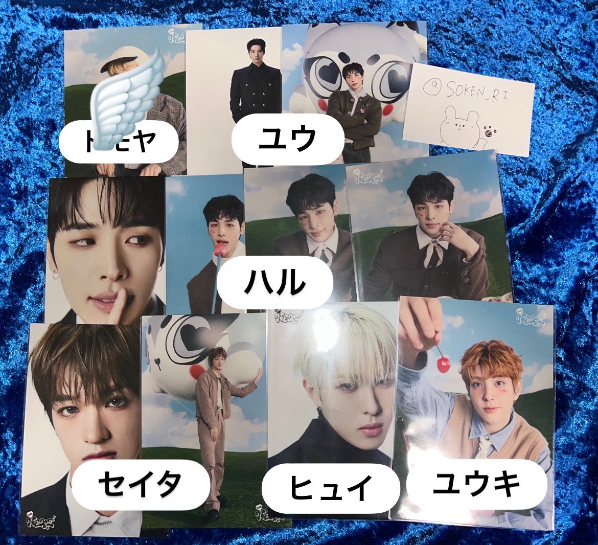 りー🐾🦋✩ tweet media