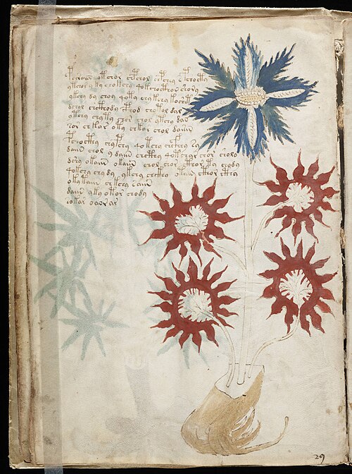 X Da Vinci tweet media