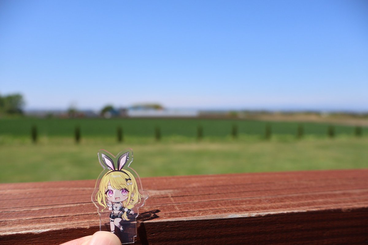 サクサクちゃん1969 tweet media