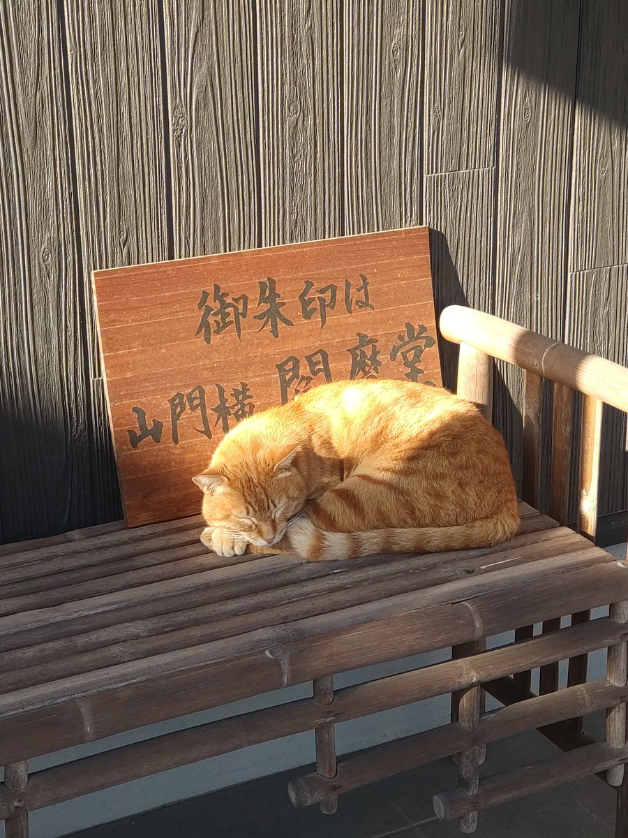 長円寺(新選組ゆかりのお寺) tweet media