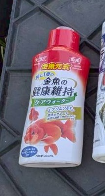 日本オランダ愛鱗会 tweet media