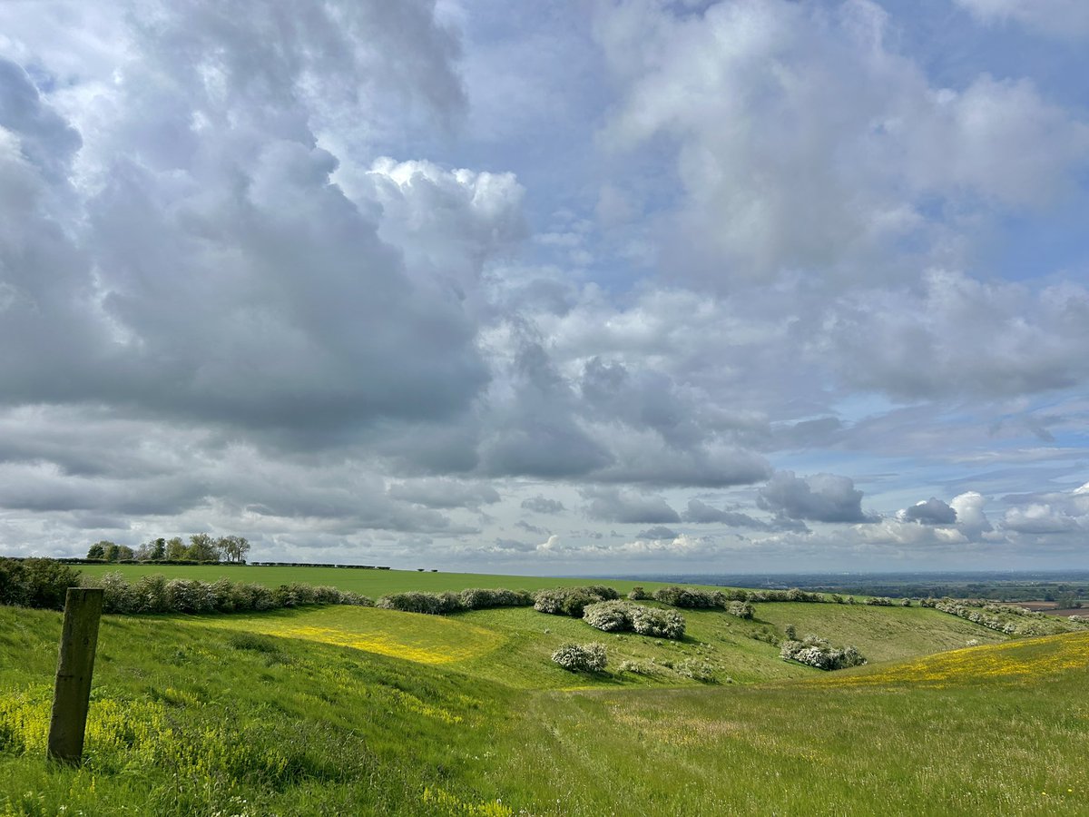 Yorkshire Wolds Weather tweet media
