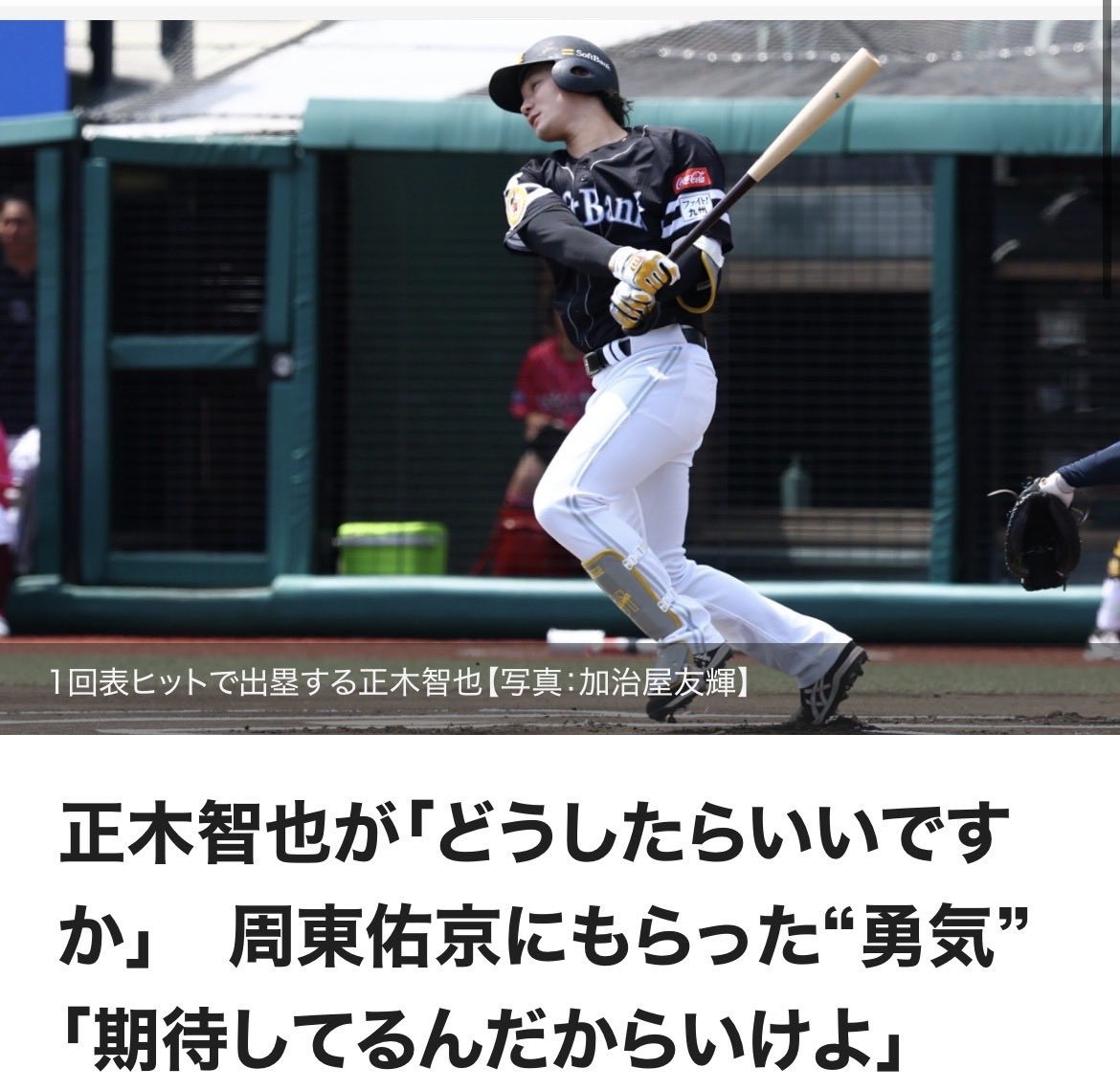 鷹フル(ホークス専門メディア) tweet media