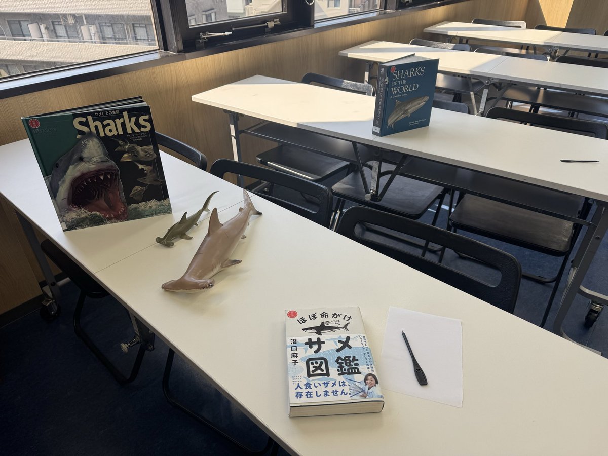 クラファン応援ありがとうございました！シャークジャーナリスト沼口麻子／サメサメ・サメ博物館設立決定！ tweet media