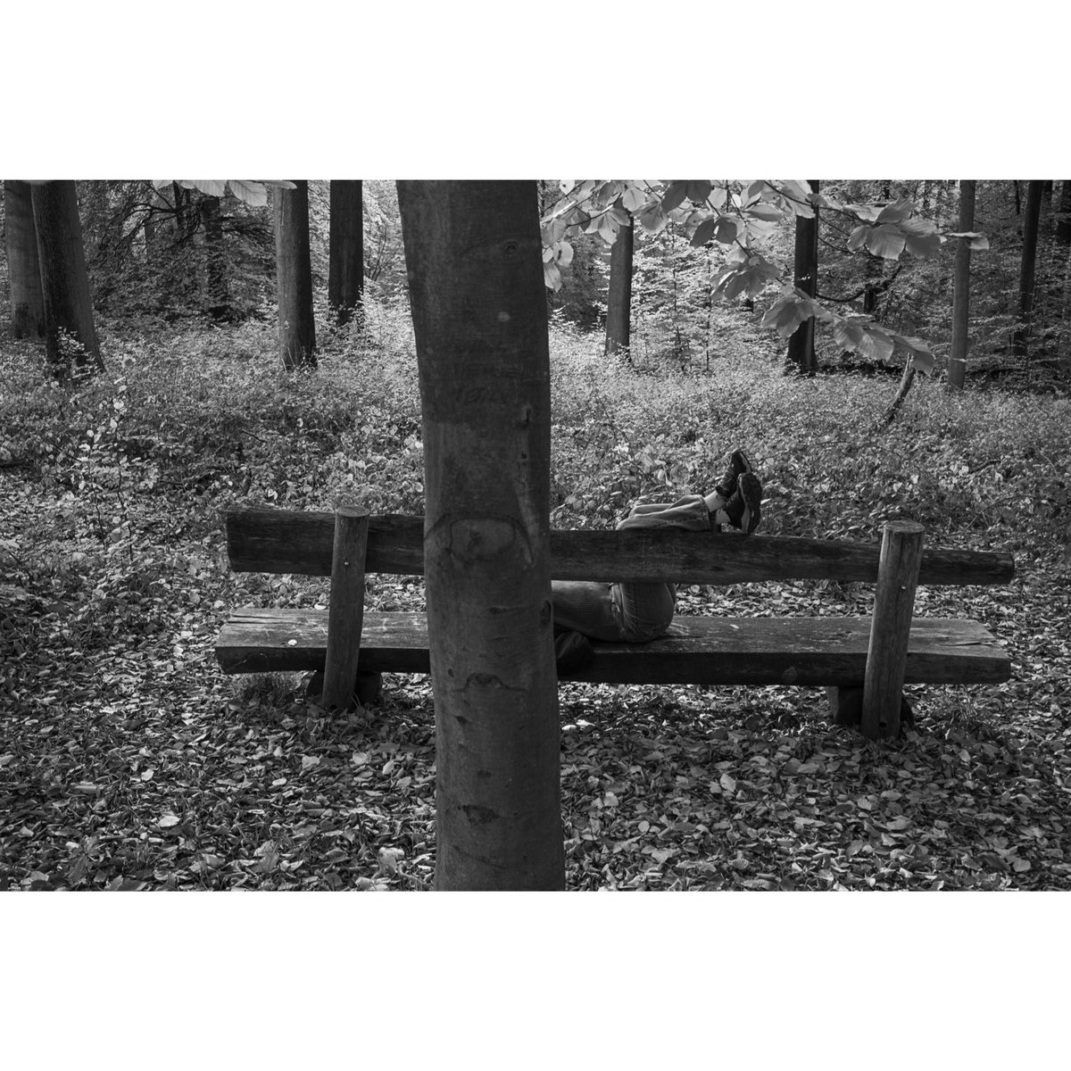 John Vink tweet media